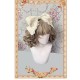 Infanta Doll House Macaron One Piece(3 Colours)